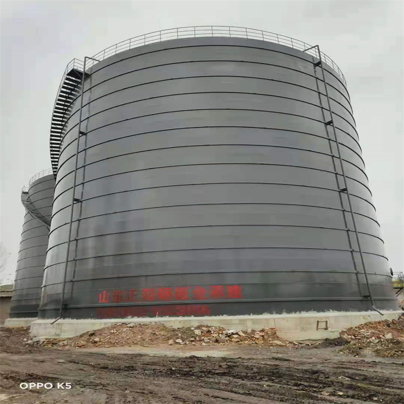 南丰3万吨大型钢板库